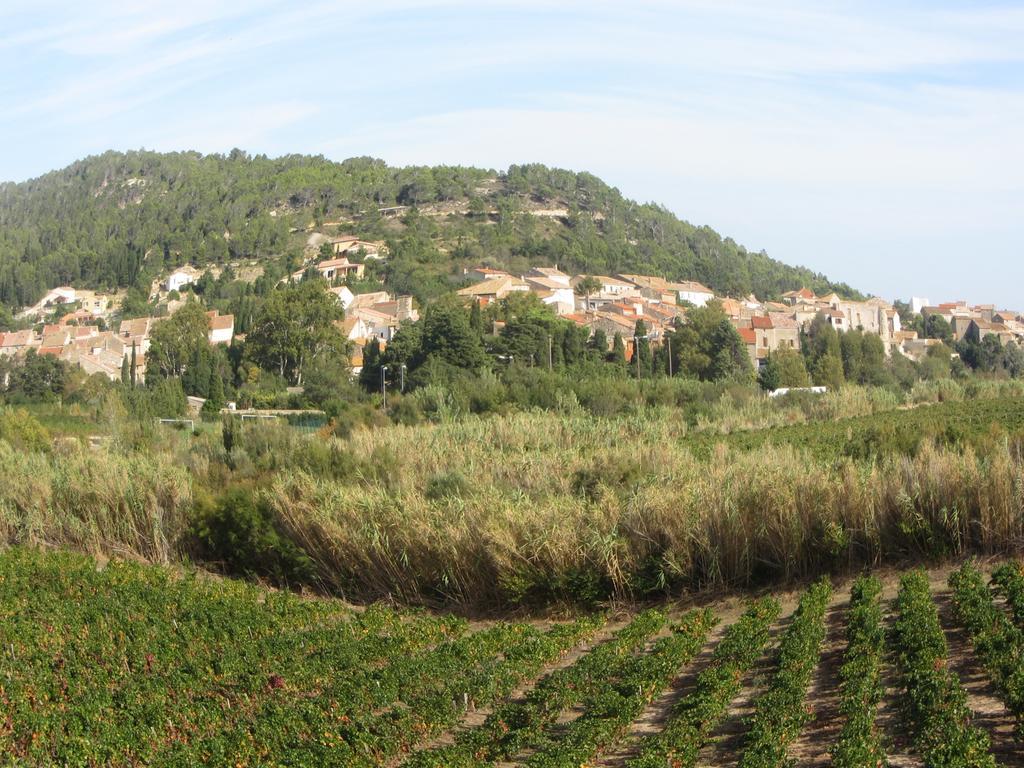 Chambre D'Hotes Le Laurier Blanc Portel-des-Corbieres Luaran gambar